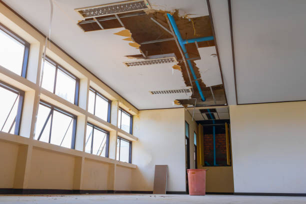 Best Water damage contractors near me  in Penn Estates, PA