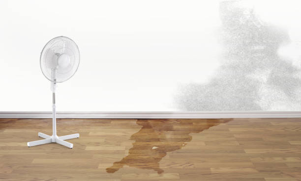 Best Flooded house restoration  in Penn Estates, PA
