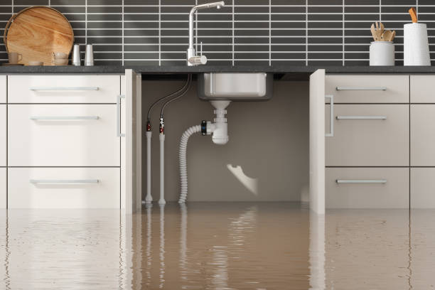 Best Water damage restoration specialists  in Penn Estates, PA