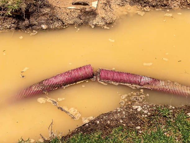 Best Professional water damage repair  in Penn Estates, PA