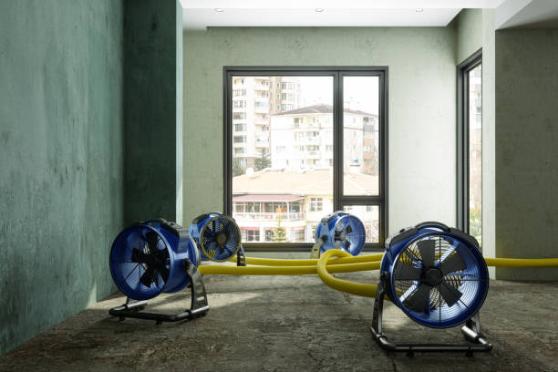 Best Ceiling water damage repair  in Penn Estates, PA